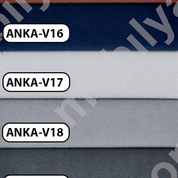 Saga Anka