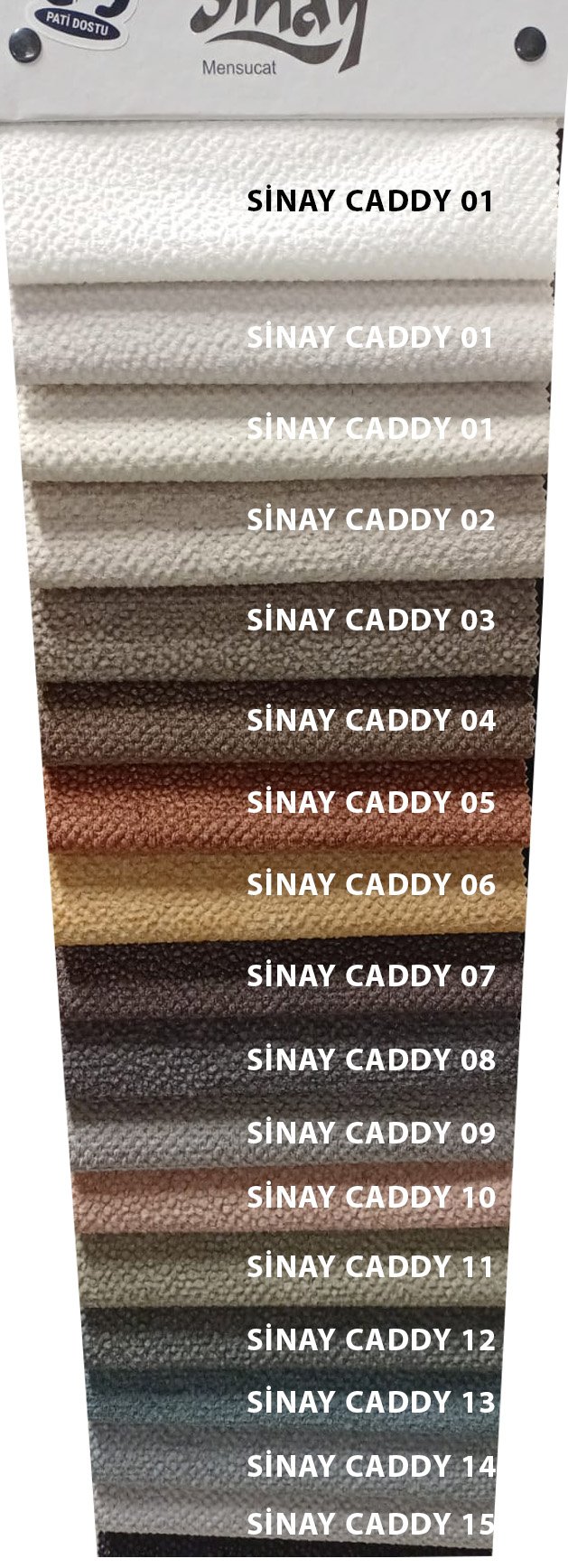 Sinay Caddy