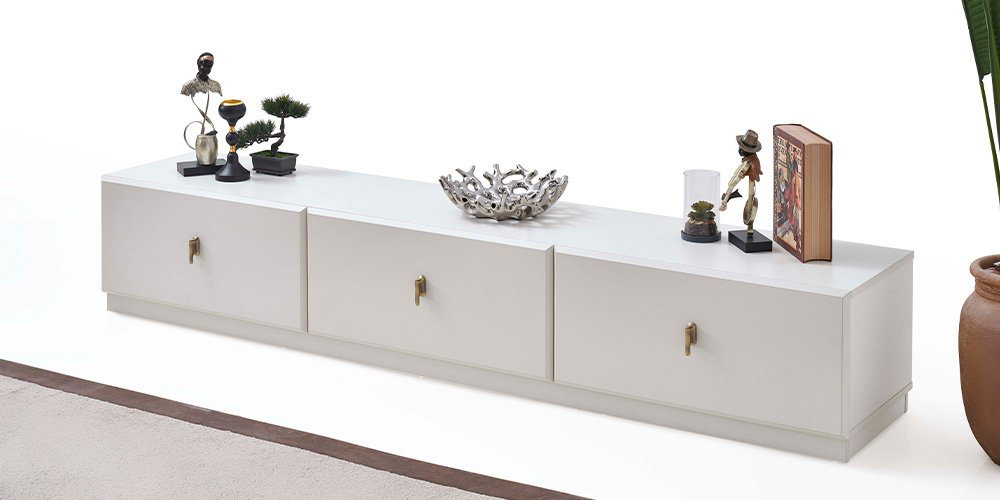 asel-tv-unitesi-2-2791-5
