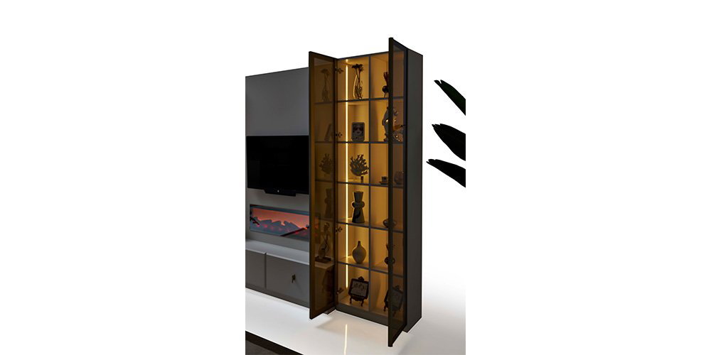 asel-tv-unitesi-2-2791-9