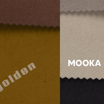 Asan Mooka-2022