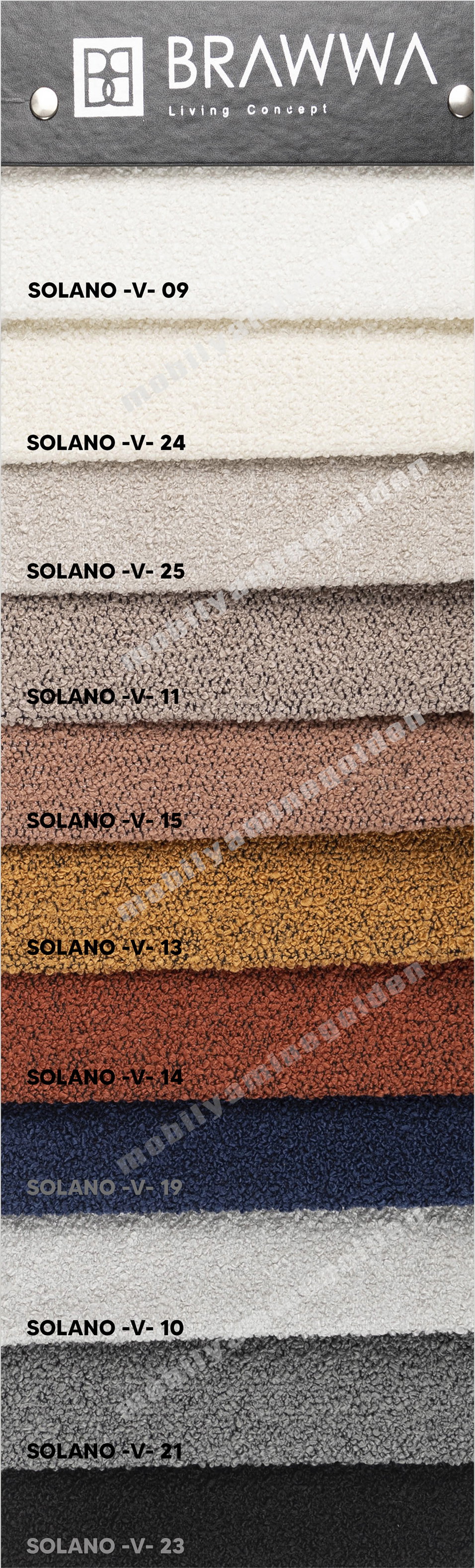 Brawwa Solano-2022