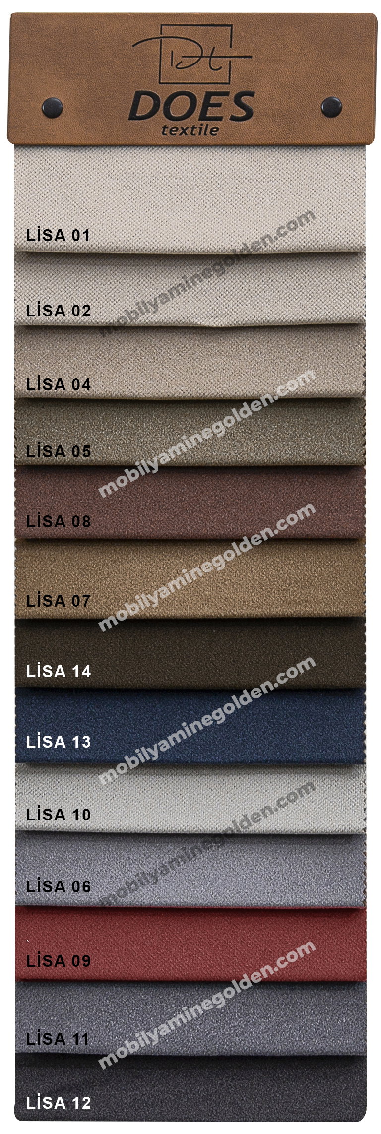 Does Lisa-2022