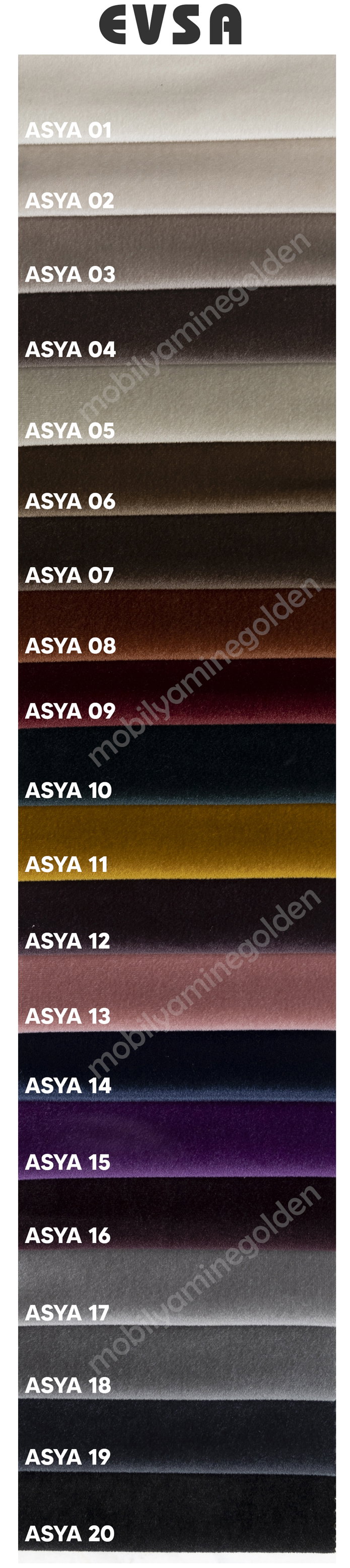 Evsa Asya