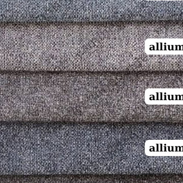 Güleser Allium