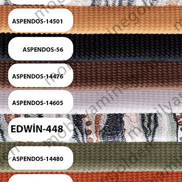 Han Aspendos Edwin