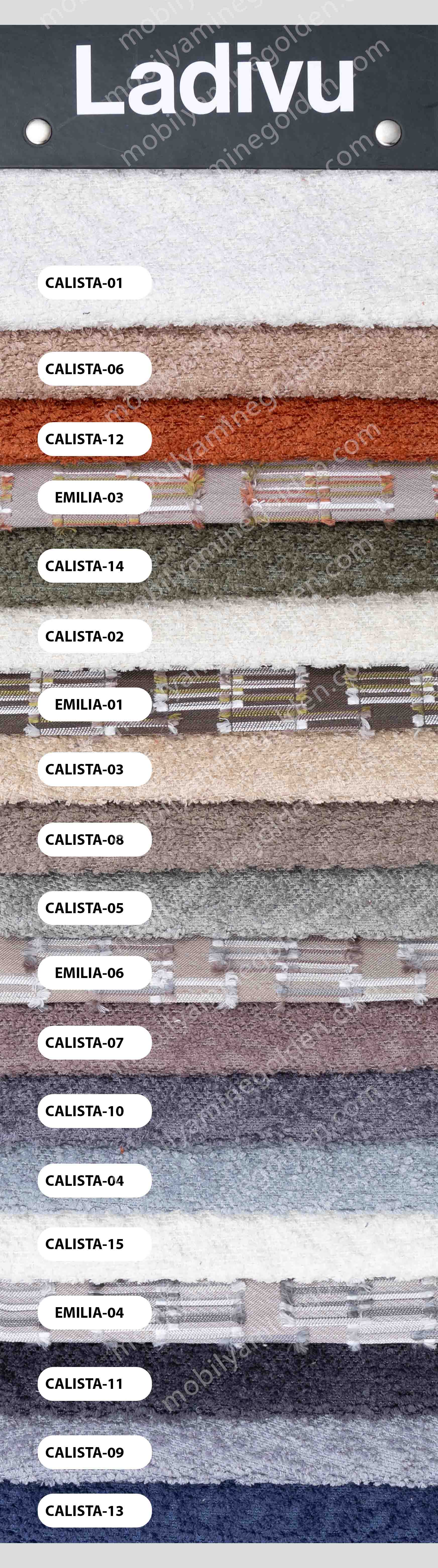 Ladivu Calista Emilia