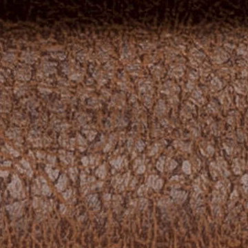 Zenteks Salvia-2022
