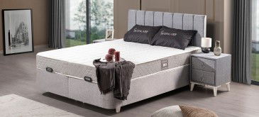 Baza ve Başlık Modelleri