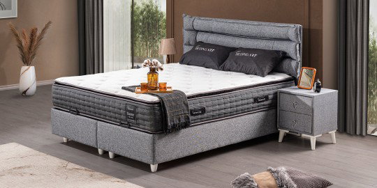 Essence Baza & Başlık