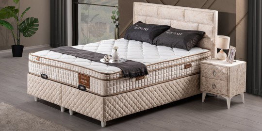 Labella Baza & Başlık