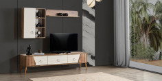 Tesla Tv Ünitesi-2030-1