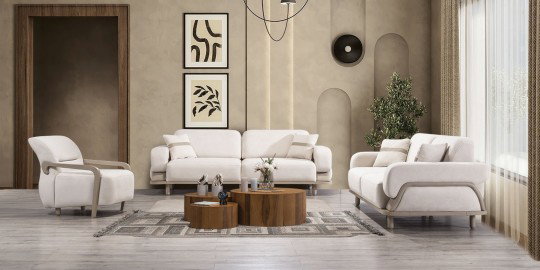 Anka Koltuk Takımı