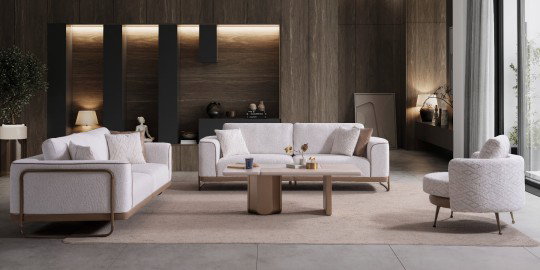 premium-koltuk-takimi