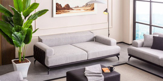 Lotus Koltuk Takımı-2562-1