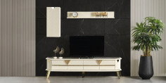City Tv Ünitesi-2495-5