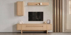 Star Tv Ünitesi-2539-3