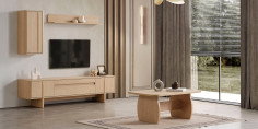 Star Tv Ünitesi-2539-1