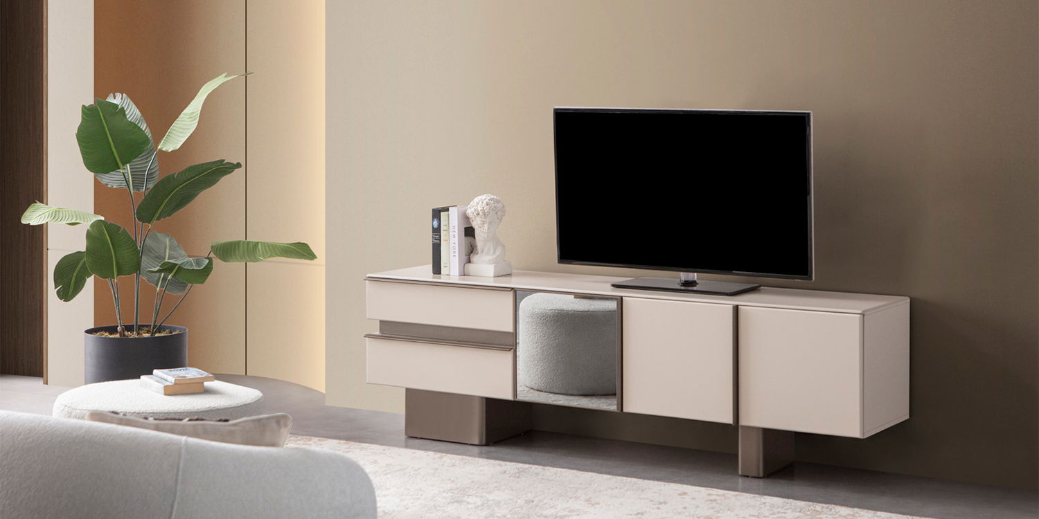Zen Tv Ünitesi